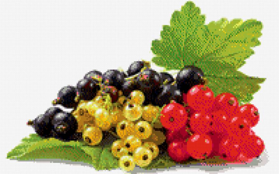 смородина - фрукты - предпросмотр