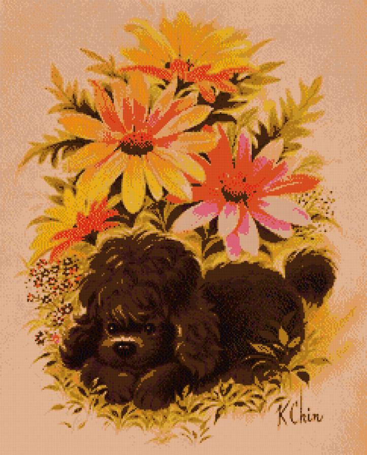 животные - предпросмотр