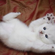 Схема вышивки «животные»