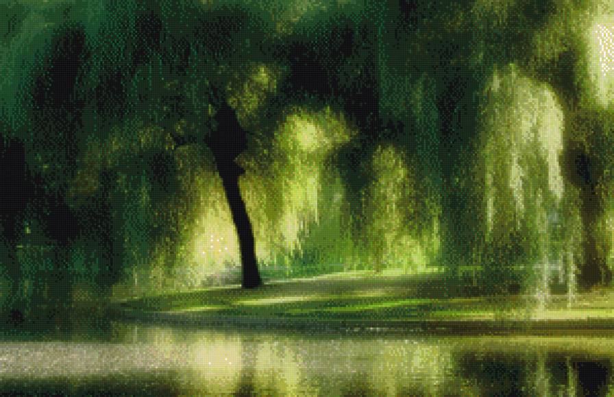 ивушка - природа дерево ива - предпросмотр