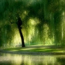 Схема вышивки «№719062»