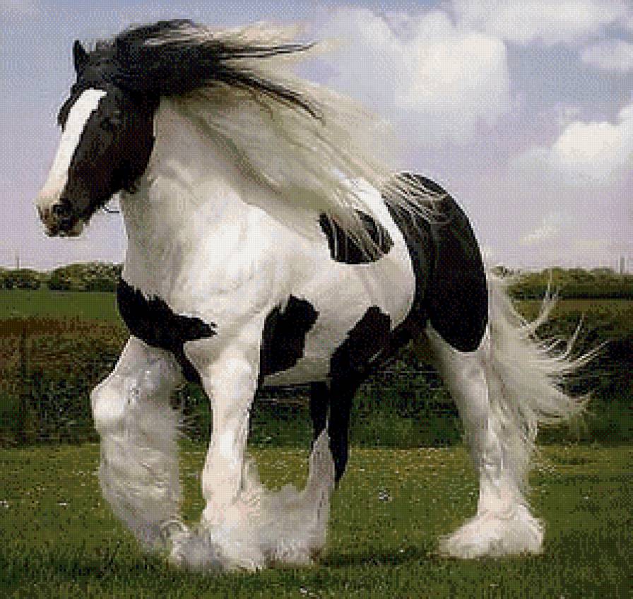 Как ветер - предпросмотр