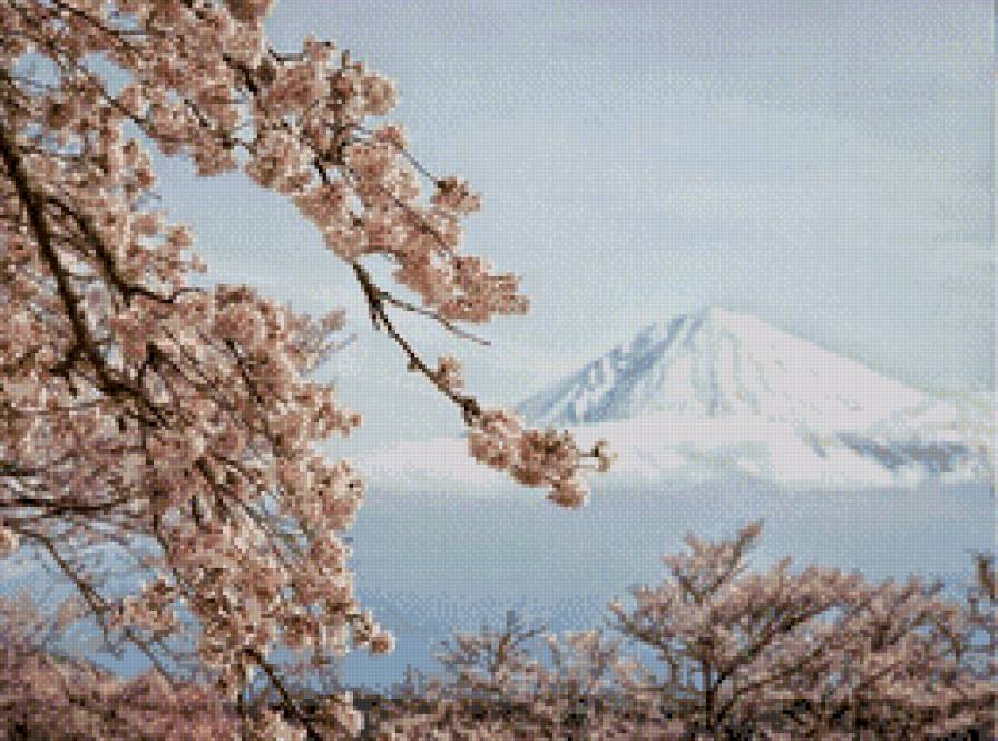 Весна на Футзияме. - весна, цветение, япония, гора, сакура, футзияма - предпросмотр