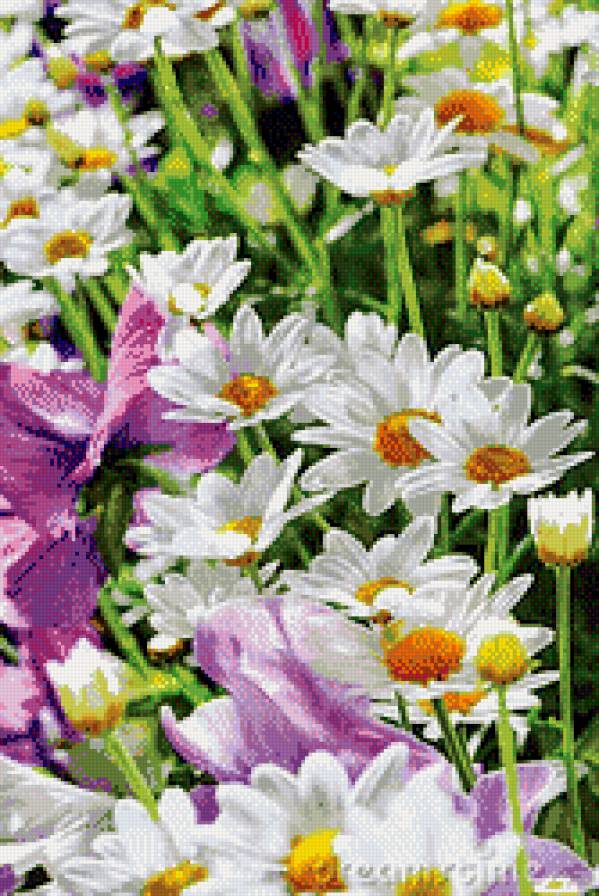 Летнее настроение. - цветы, лето, счастье - предпросмотр