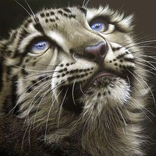 Схема вышивки «Ирбис малыш.»