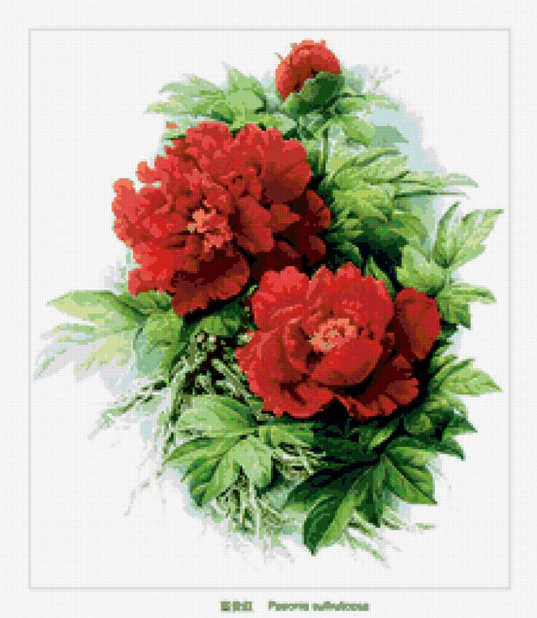 цветы(повторное) - цветы - предпросмотр