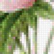 Предпросмотр схемы вышивки «роза» (№719906)