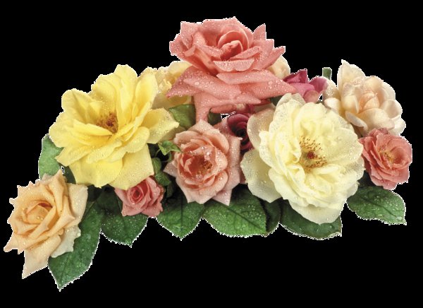 цветы2 - оригинал