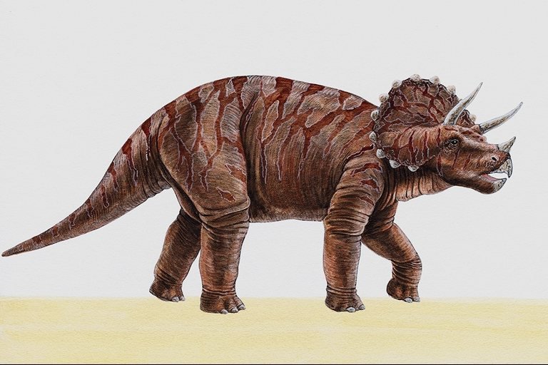 дино5 - оригинал