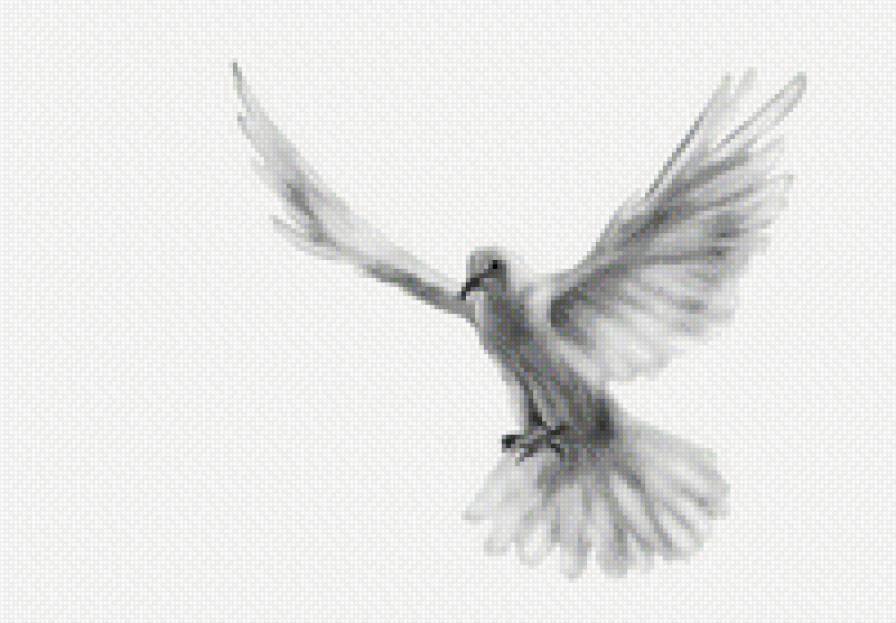 полёт - предпросмотр