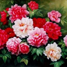 Схема вышивки «пионы»