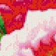 Предпросмотр схемы вышивки «пионы» (№720284)