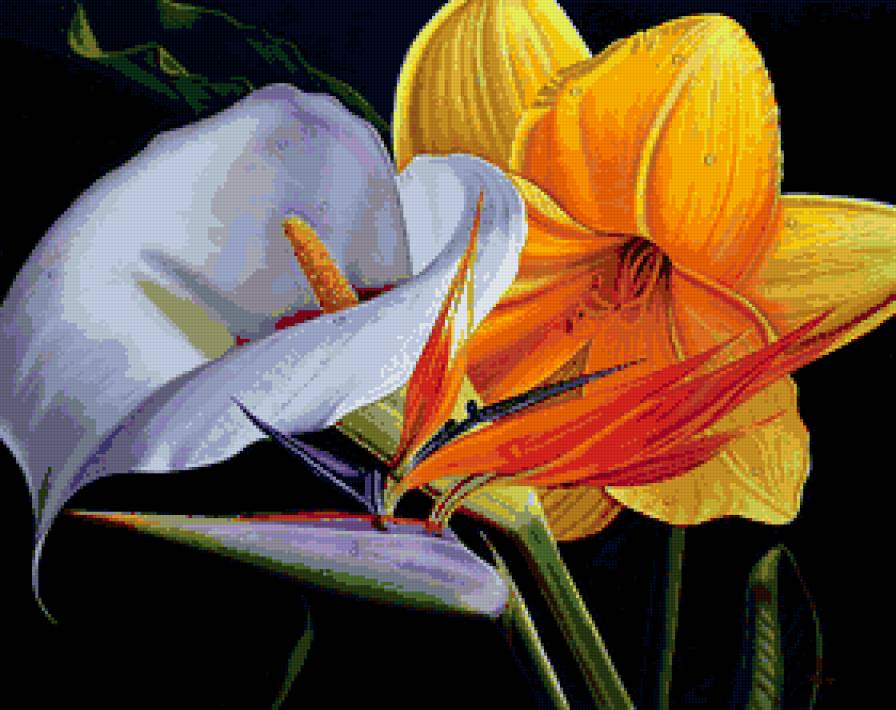 цветы - цветы - предпросмотр