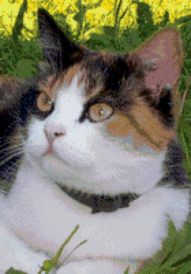 Киска - предпросмотр