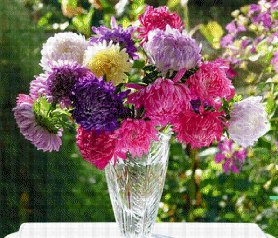 астры - цветы, букет - предпросмотр