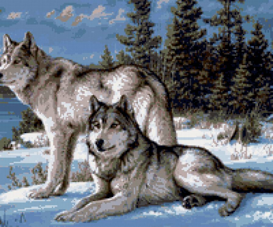 волки на снегу - предпросмотр