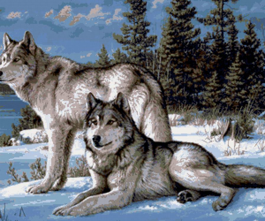 волки - предпросмотр