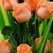 Схема вышивки «Розы»