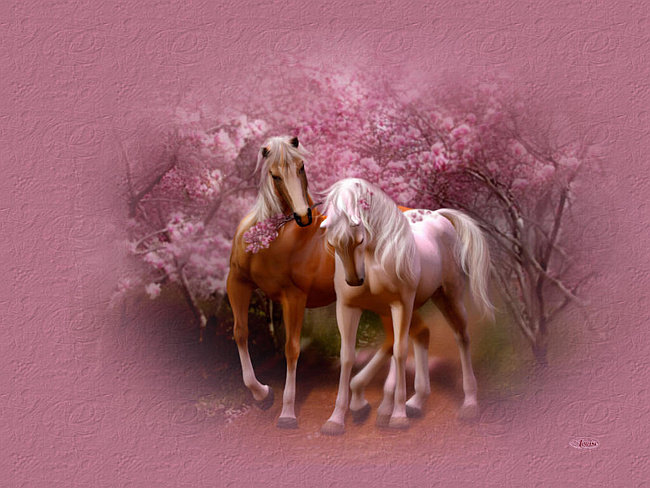 №720836 - оригинал