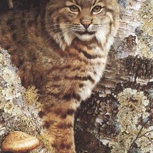 Схема вышивки «№720843»