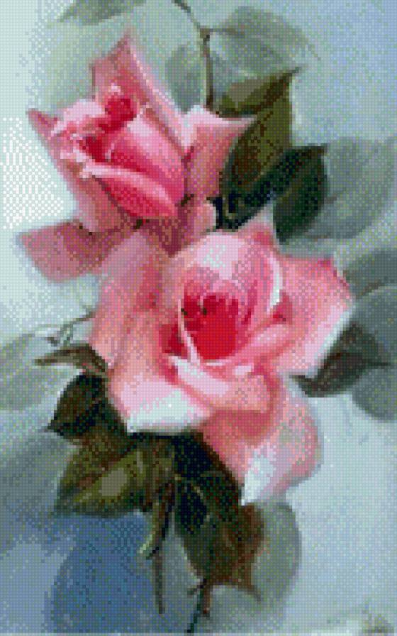 №721052 - розы, цветы - предпросмотр