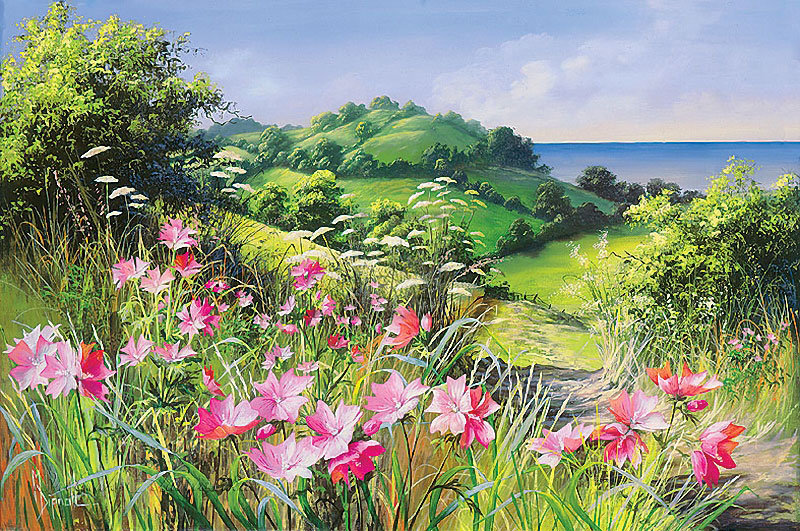 Розовые цветы - луг, цветы, лето, пейзаж - оригинал