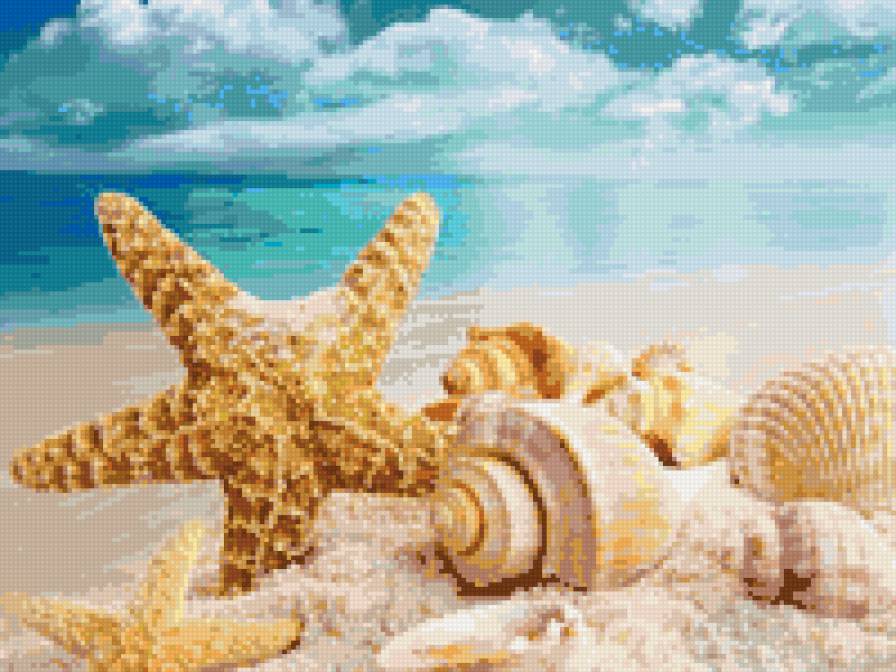 Морской пейзаж - море, песок, ракушки - предпросмотр