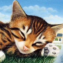 Схема вышивки «Кошачии мир 1»