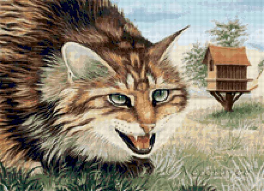 Кошачии мир 3 - предпросмотр