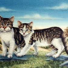 Кошачии мир 5