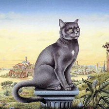 Кошачии мир 8