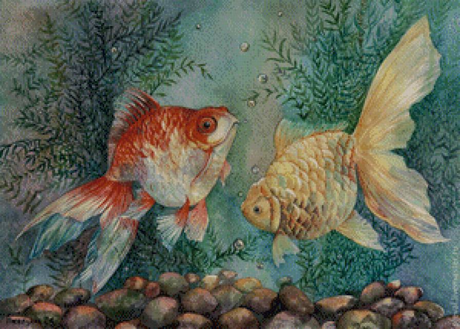 Золотые рыбки - аквариум, рыбки, золотые рыбки - предпросмотр
