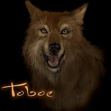 Схема вышивки «Toboe»