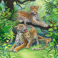 Схема вышивки «леопарды»