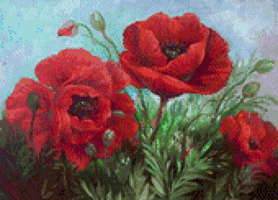 маки - предпросмотр