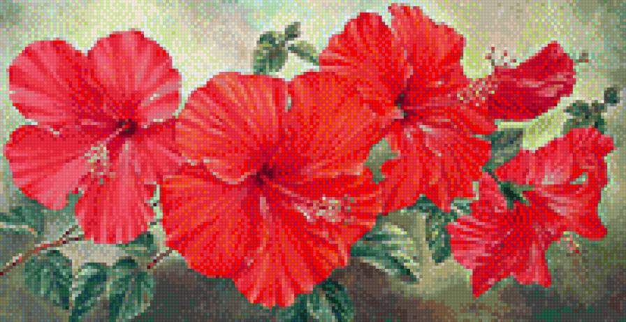 гибискус - предпросмотр