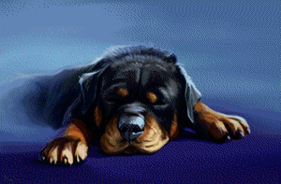 Спящий песик - собака, сон, животные, пес - предпросмотр