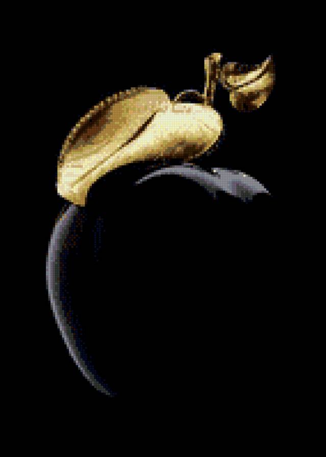 яблоко - нежность - предпросмотр