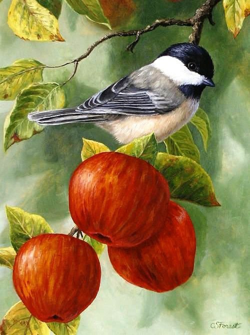 пташка - оригинал