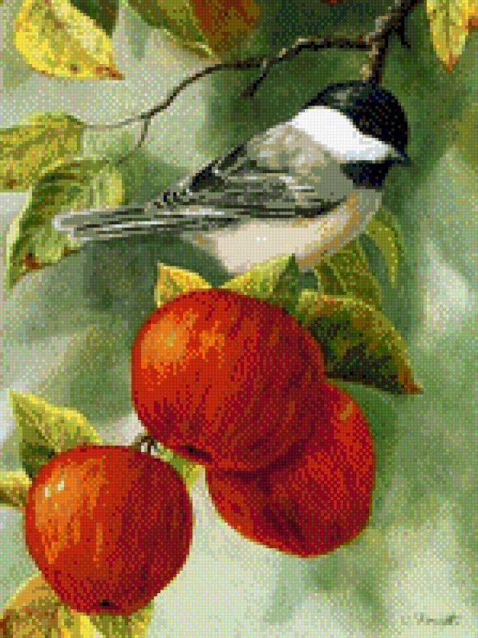 пташка - предпросмотр