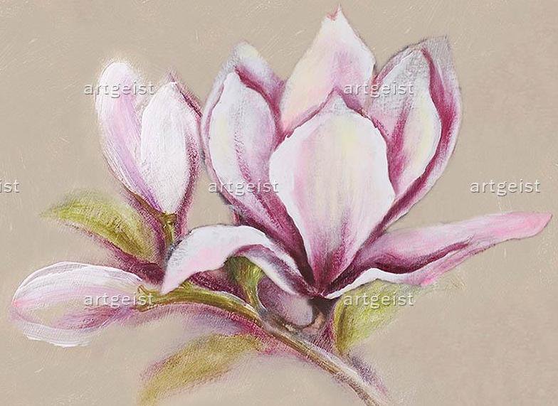 magnolia - оригинал