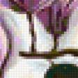 Предпросмотр схемы вышивки «magnolias» (№722793)