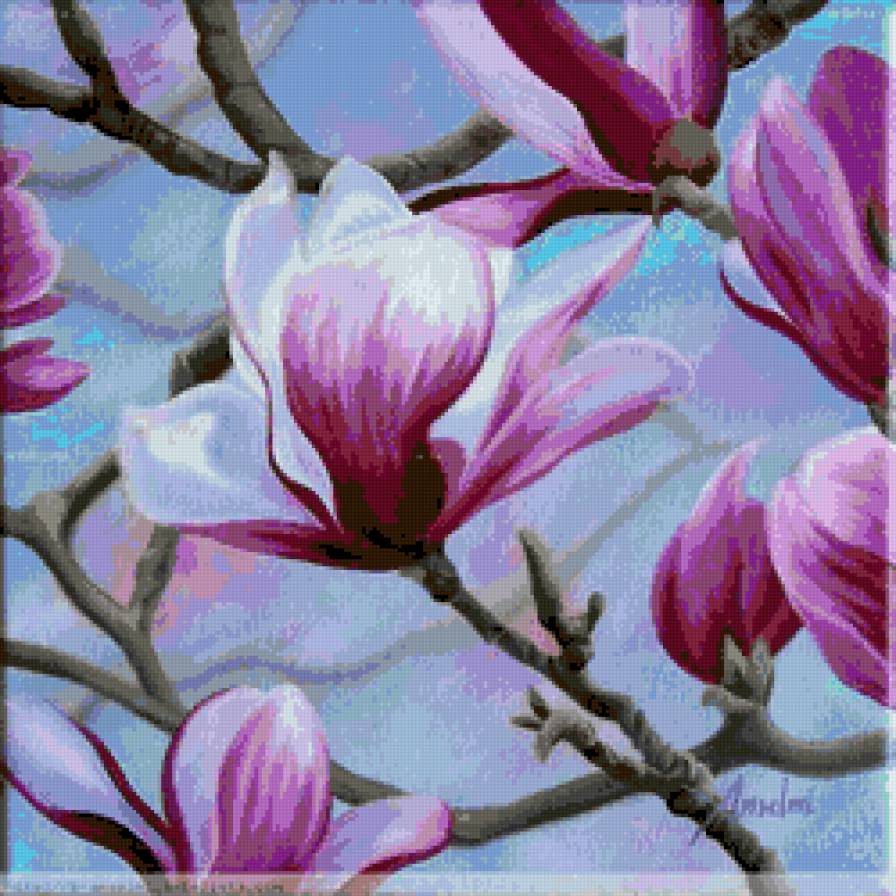 magnolias - magnolias - предпросмотр