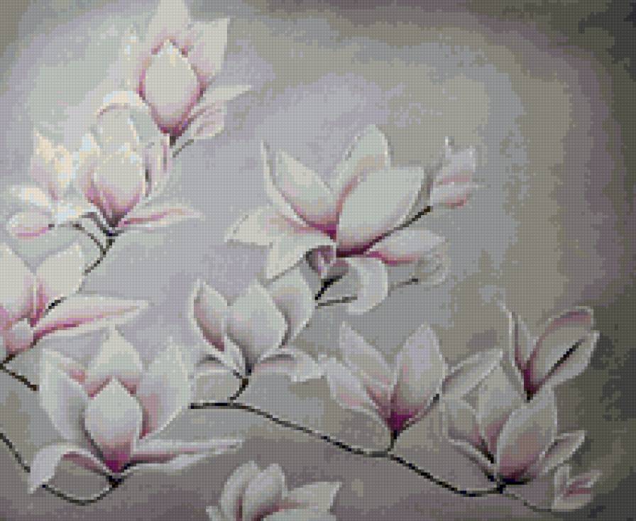 magnolias - magnolias - предпросмотр