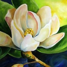 Схема вышивки «magnolia»