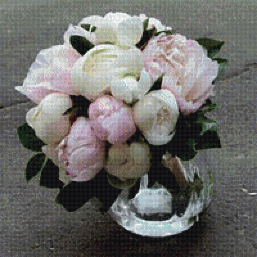 Пионы - пионы, ваза, цветы, натюрморт - предпросмотр