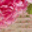 Предпросмотр схемы вышивки «пионы» (№722851)