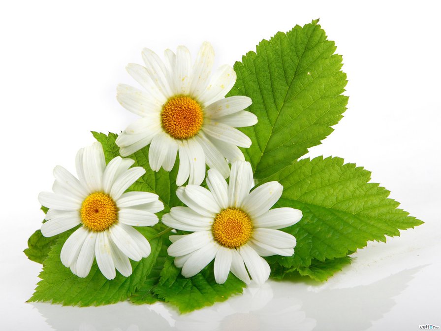 №722879 - оригинал