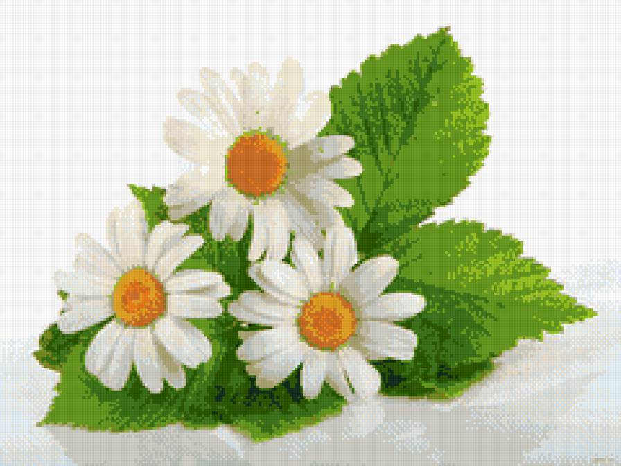 №722879 - предпросмотр