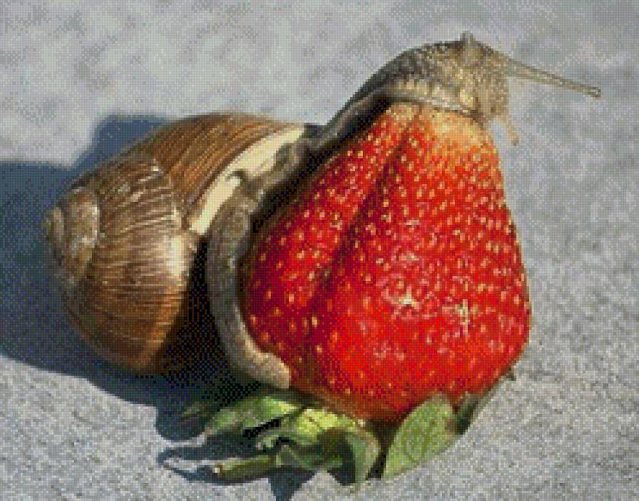 Клубничка - фрукты, улитка - предпросмотр